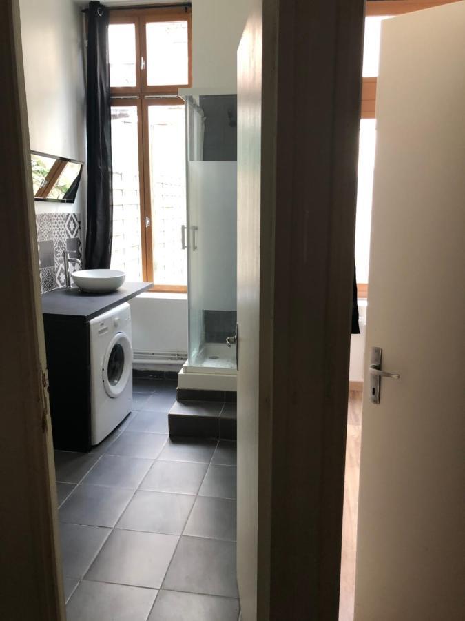 Appartement Et Son Jardin A Lille Fac De Droit Ngoại thất bức ảnh
